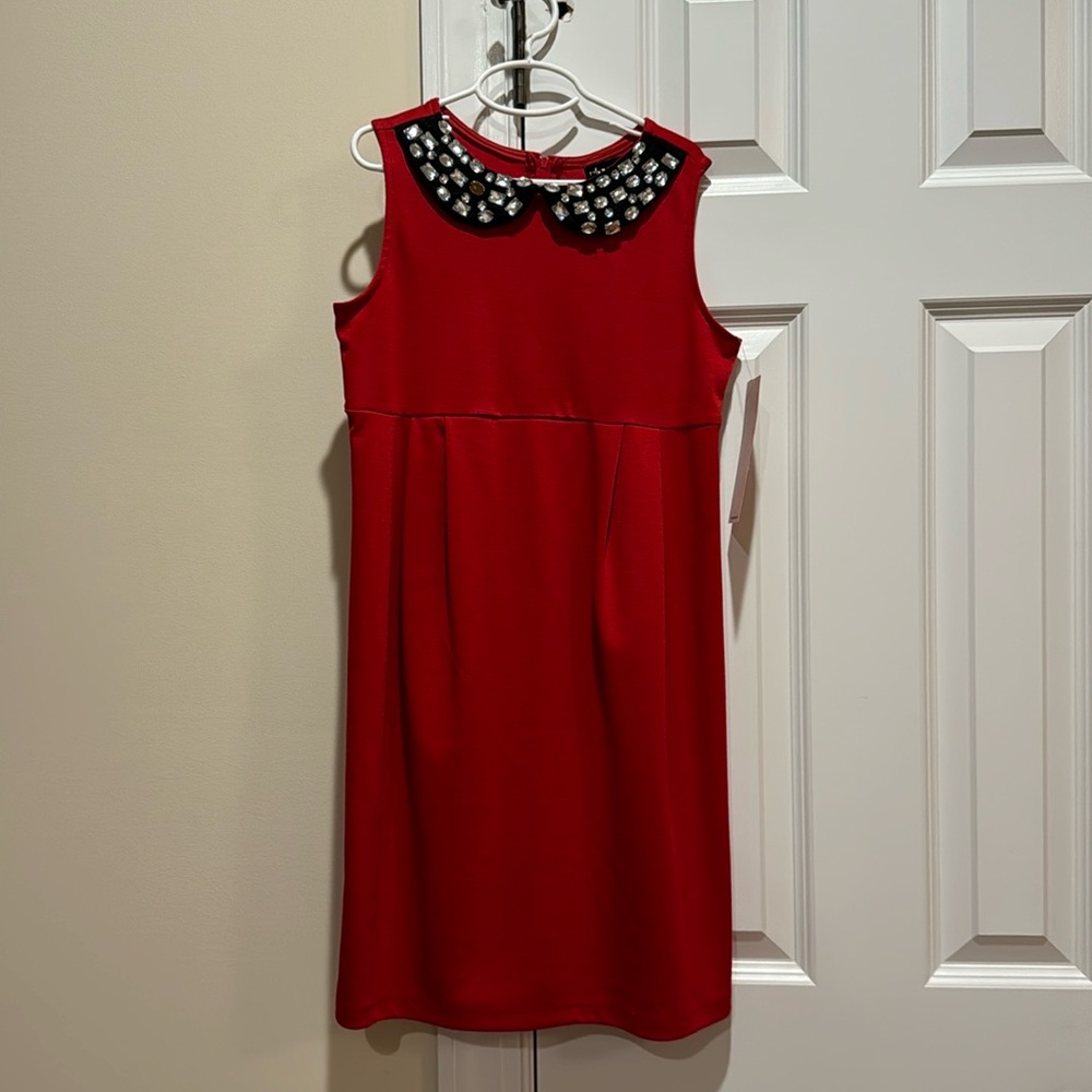 NWT Holiday Party Dress